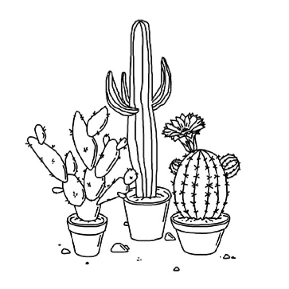 porcelaincactus